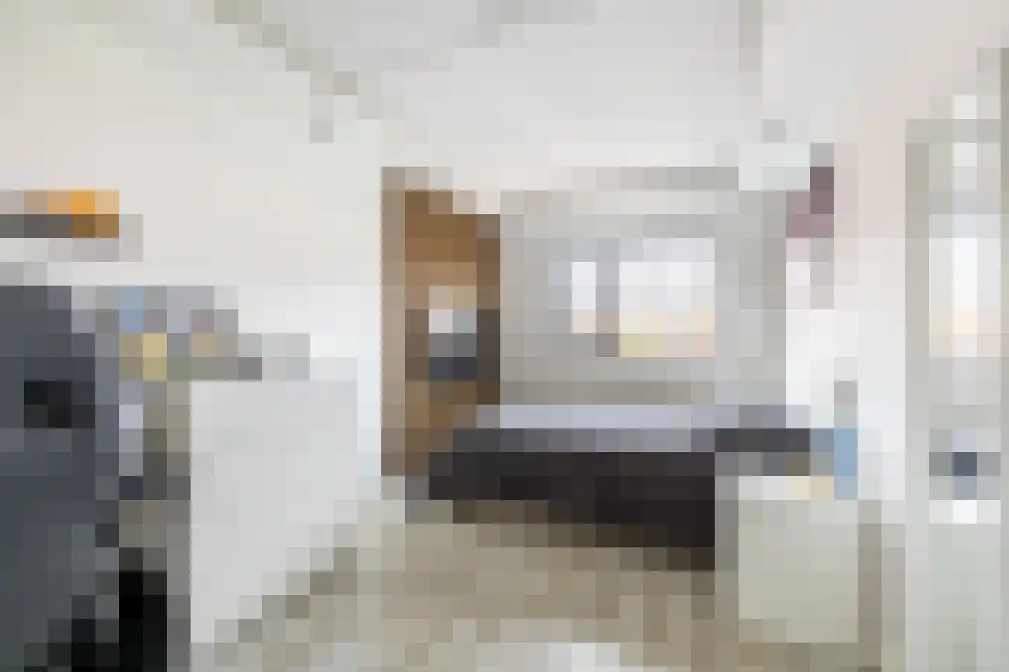 Siouxstraat 10 Purmerend thumbnail 25