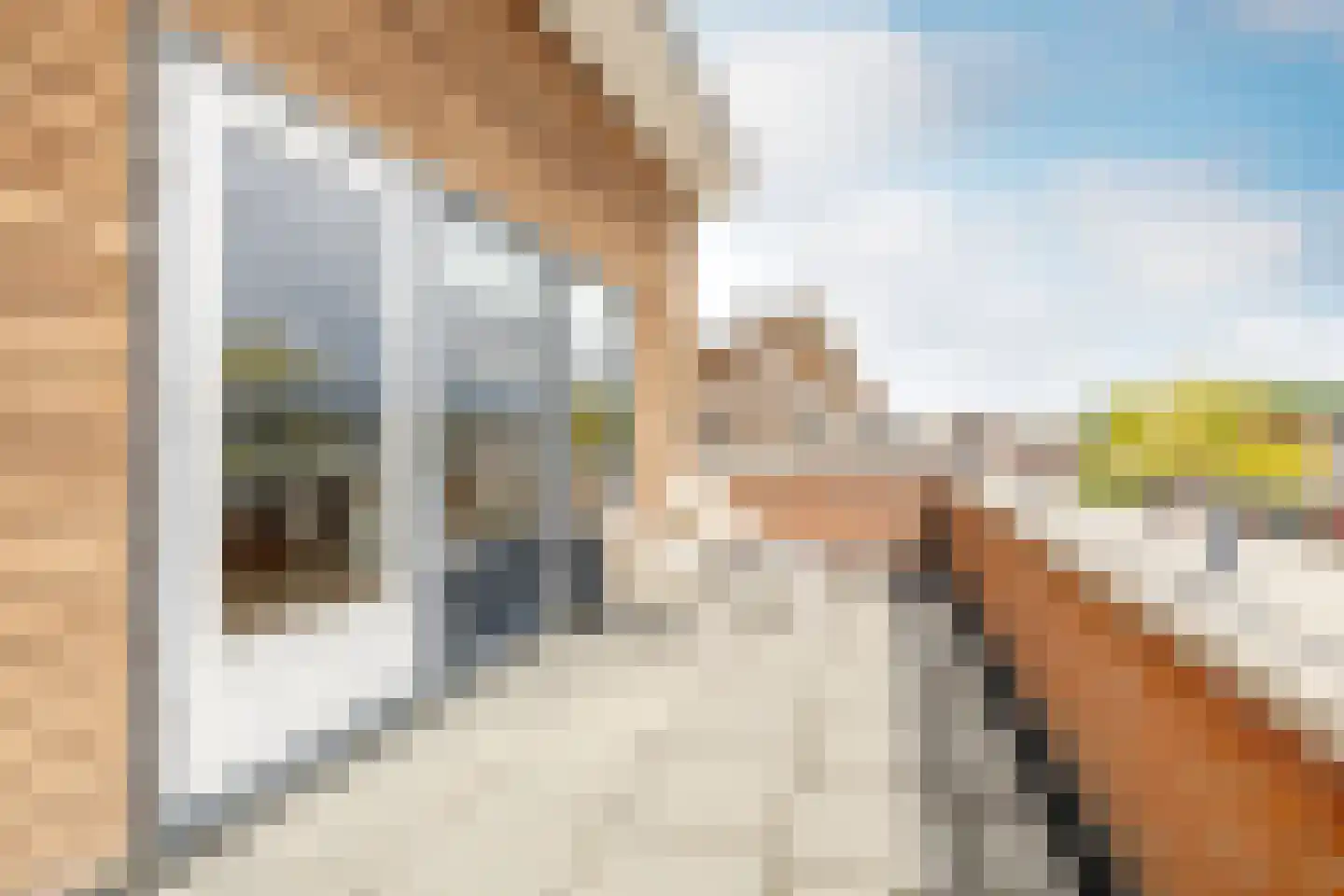 Siouxstraat 10 Purmerend thumbnail 35