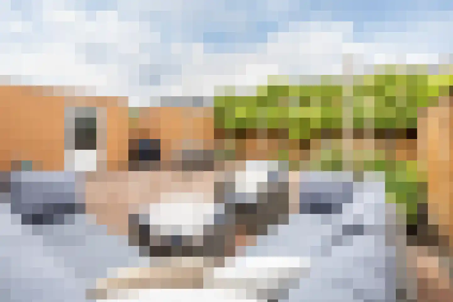 Siouxstraat 10 Purmerend thumbnail 41