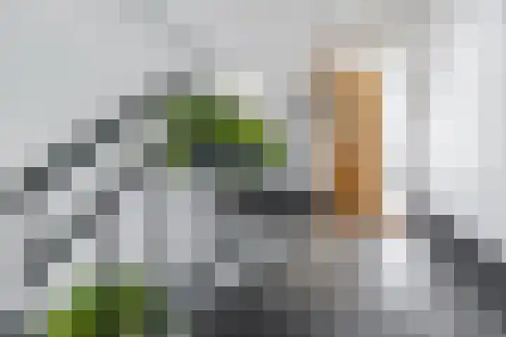 Sir Winston Churchilllaan 160 Rijswijk thumbnail 24