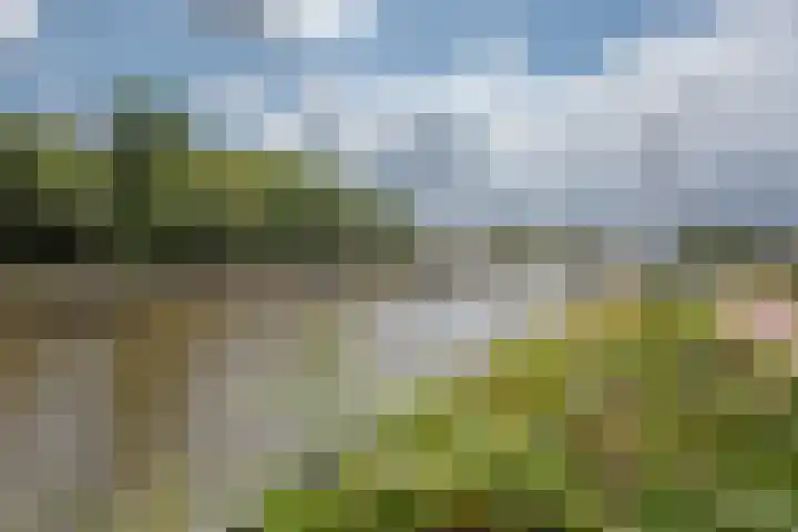 Sir Winston Churchilllaan 173 Rijswijk thumbnail 31