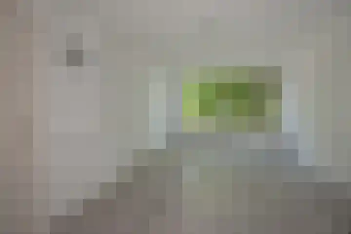 Sir Winston Churchilllaan 173 Rijswijk thumbnail 8