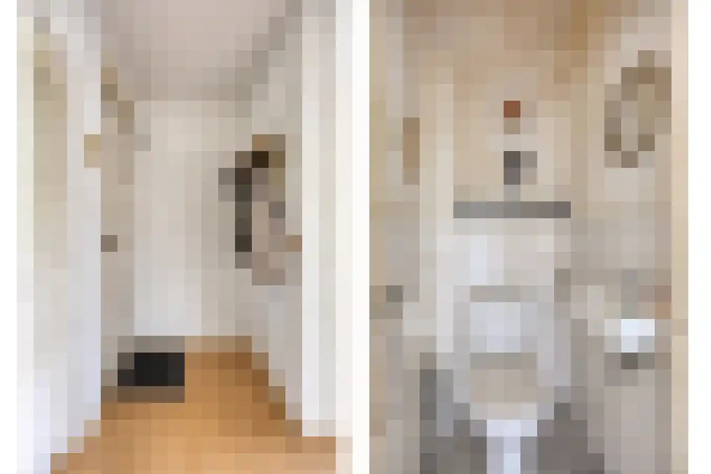 Sir Winston Churchilllaan 216 Rijswijk thumbnail 31