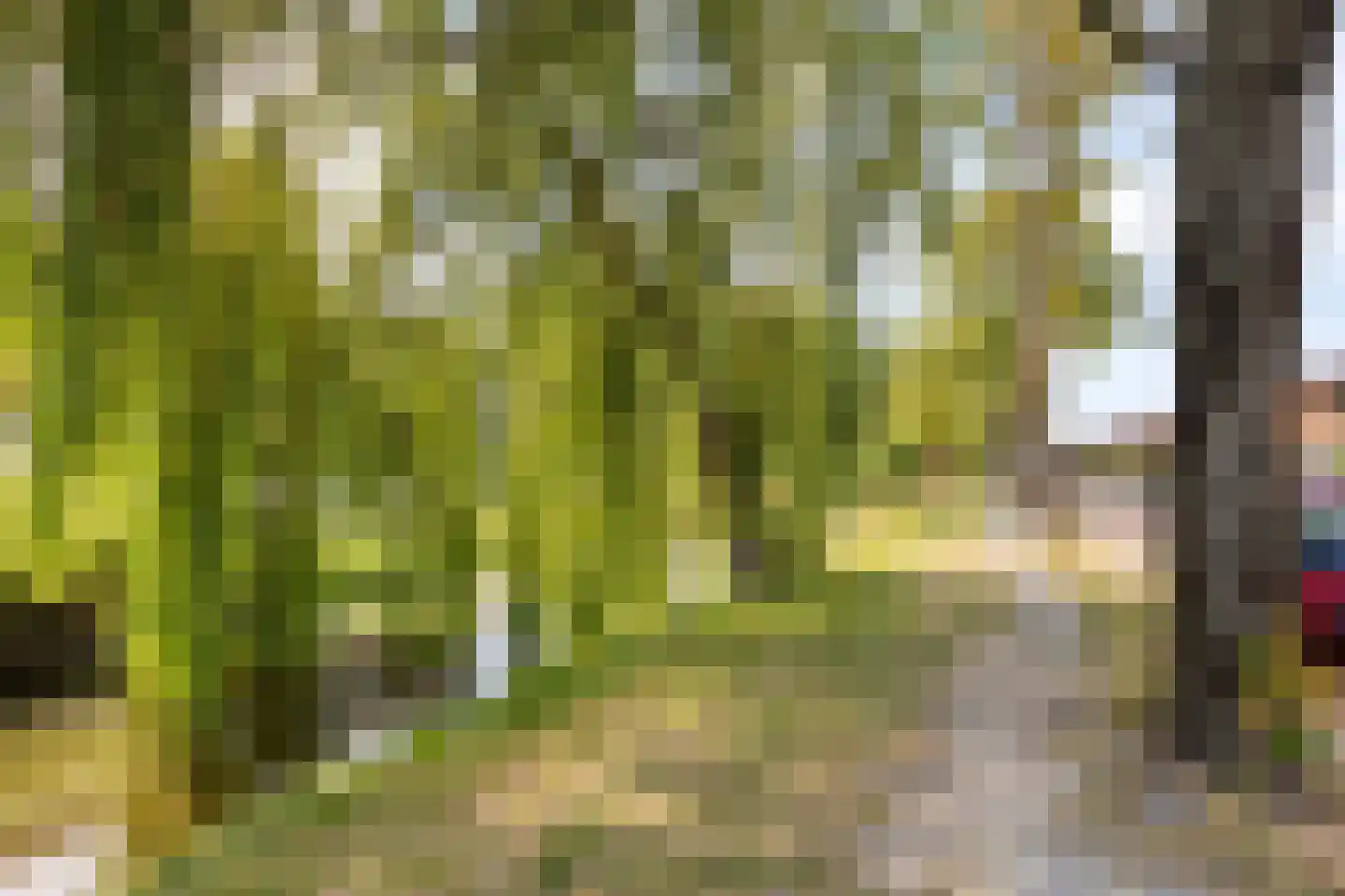 Sir Winston Churchilllaan 216 Rijswijk thumbnail 38