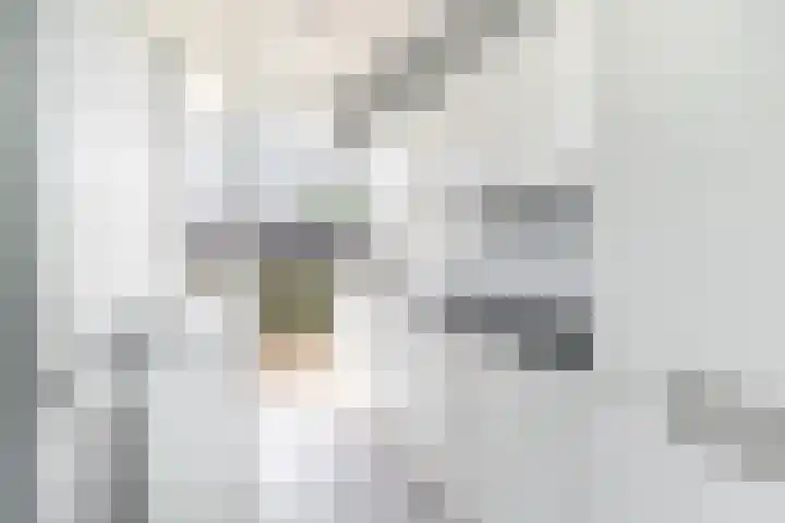 Sir Winston Churchilllaan 219 Rijswijk thumbnail 7