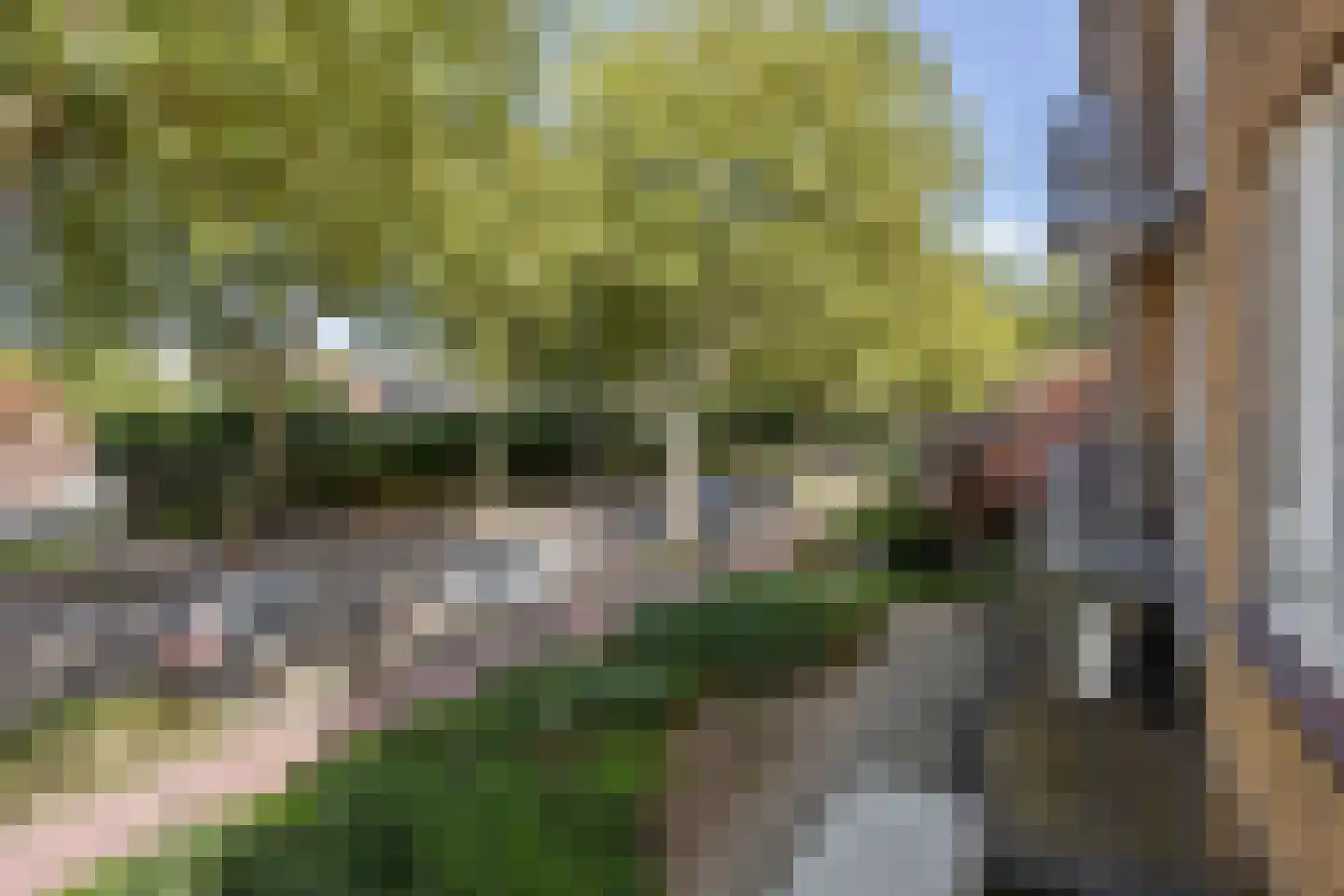 Sir Winston Churchilllaan 255 Rijswijk thumbnail 15