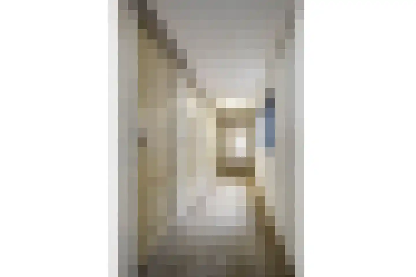 Sir Winston Churchilllaan 255 Rijswijk thumbnail 32