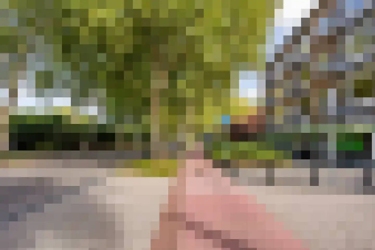 Sir Winston Churchilllaan 255 Rijswijk thumbnail 33