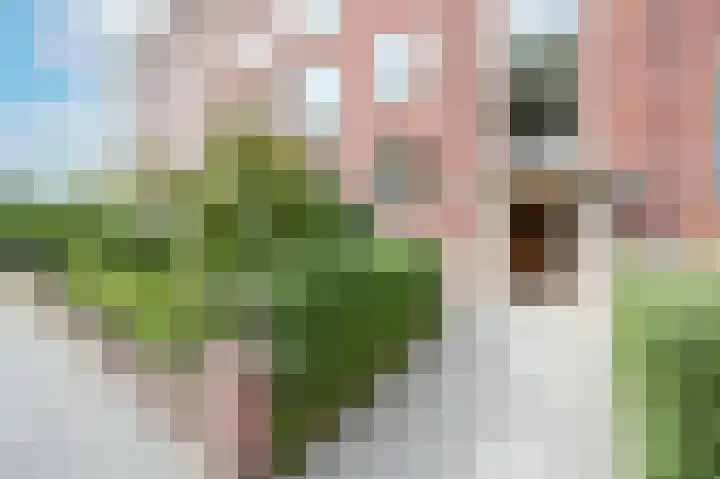 Sir Winston Churchilllaan 262 Rijswijk thumbnail 33