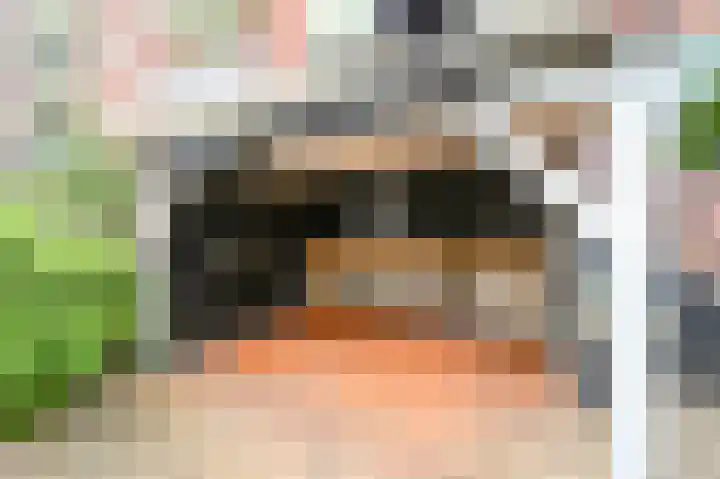 Sir Winston Churchilllaan 262 Rijswijk thumbnail 4
