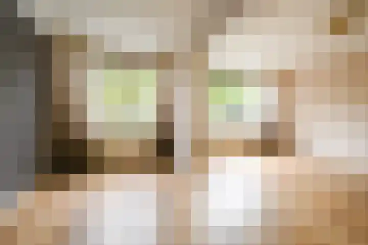 Sir Winston Churchilllaan 262 Rijswijk thumbnail 7