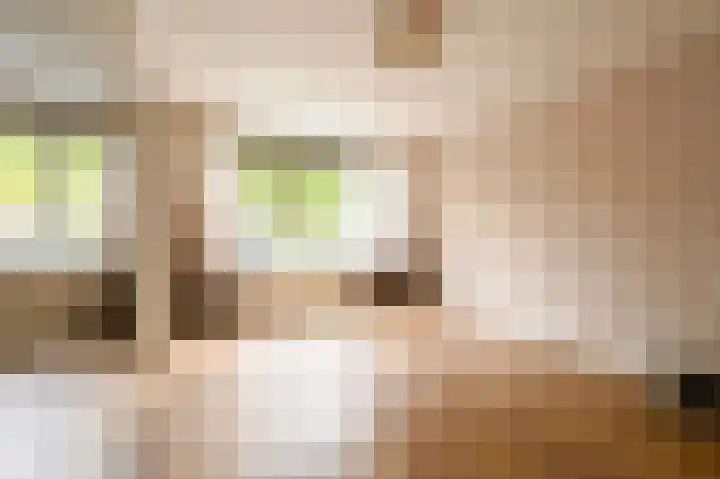 Sir Winston Churchilllaan 262 Rijswijk thumbnail 9