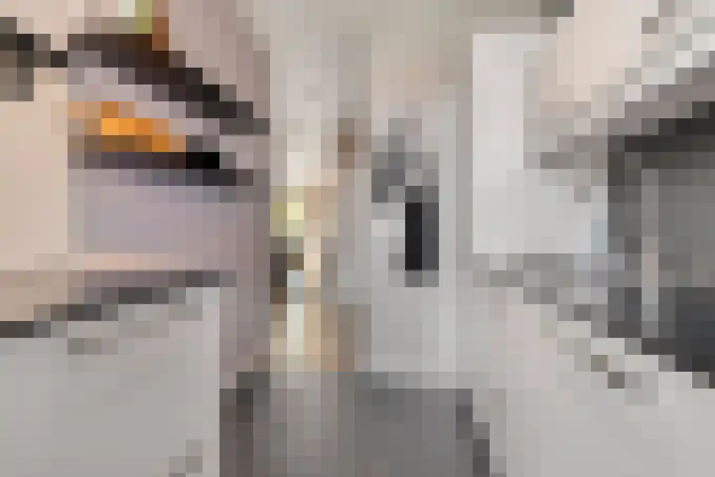 Sir Winston Churchilllaan 266 Rijswijk thumbnail 4