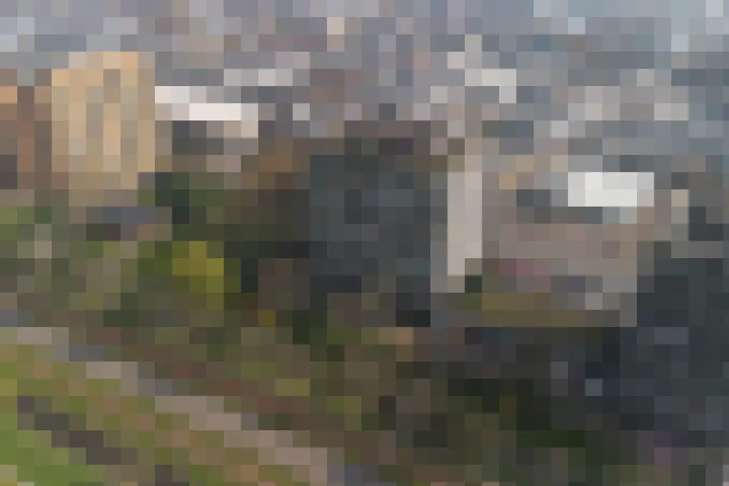 Sir Winston Churchilllaan 283 F023 Rijswijk thumbnail 43