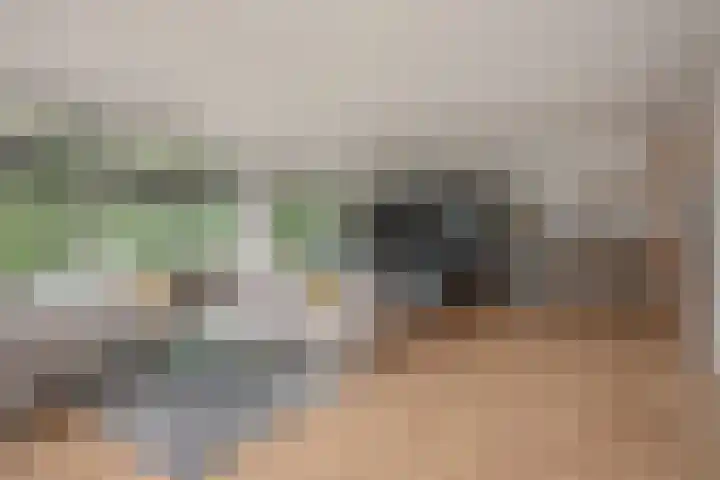 Sir Winston Churchilllaan 283 F024 Rijswijk thumbnail 12