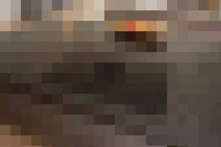 Sir Winston Churchilllaan 283 F024 Rijswijk thumbnail 17
