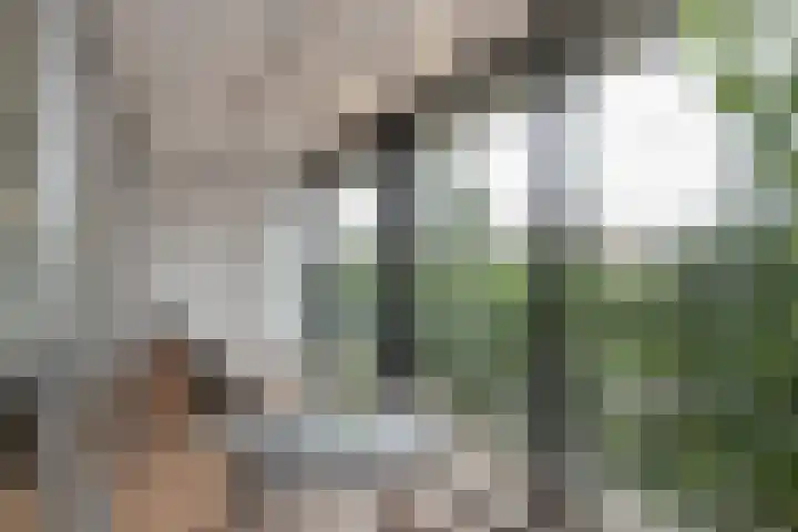 Sir Winston Churchilllaan 283 F024 Rijswijk thumbnail 23