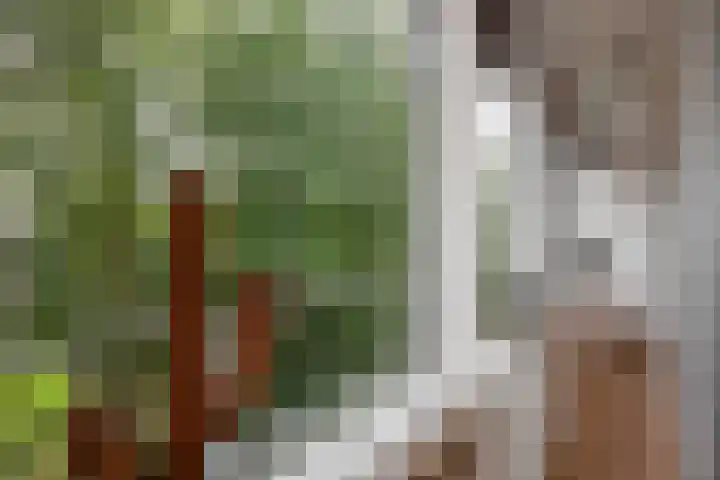 Sir Winston Churchilllaan 283 F024 Rijswijk thumbnail 24