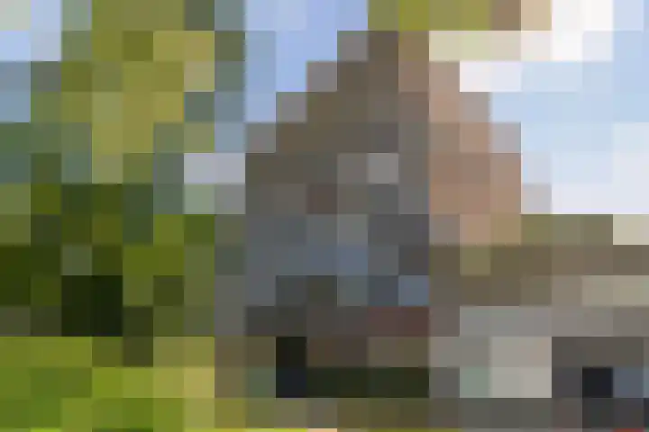Sir Winston Churchilllaan 283 F024 Rijswijk thumbnail 34