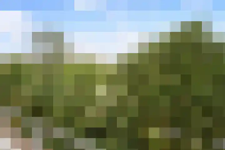 Sir Winston Churchilllaan 283 F024 Rijswijk thumbnail 4