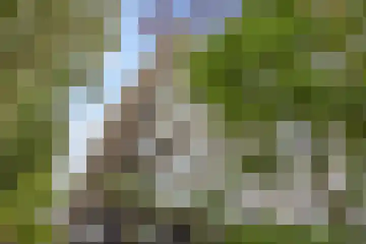 Sir Winston Churchilllaan 283 F024 Rijswijk thumbnail 5