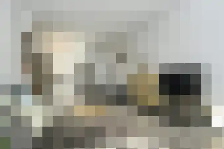 Sir Winston Churchilllaan 289 F020 Rijswijk thumbnail 9