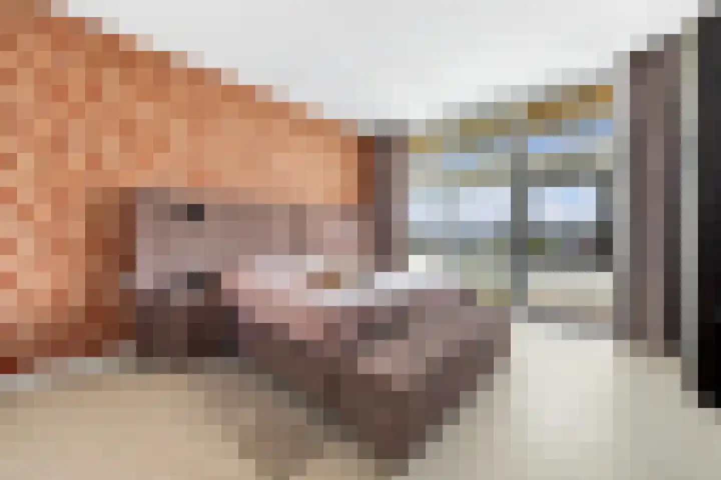 Sir Winston Churchilllaan 289 F024 Rijswijk thumbnail 34