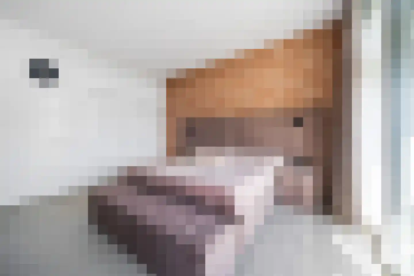 Sir Winston Churchilllaan 289 F024 Rijswijk thumbnail 35