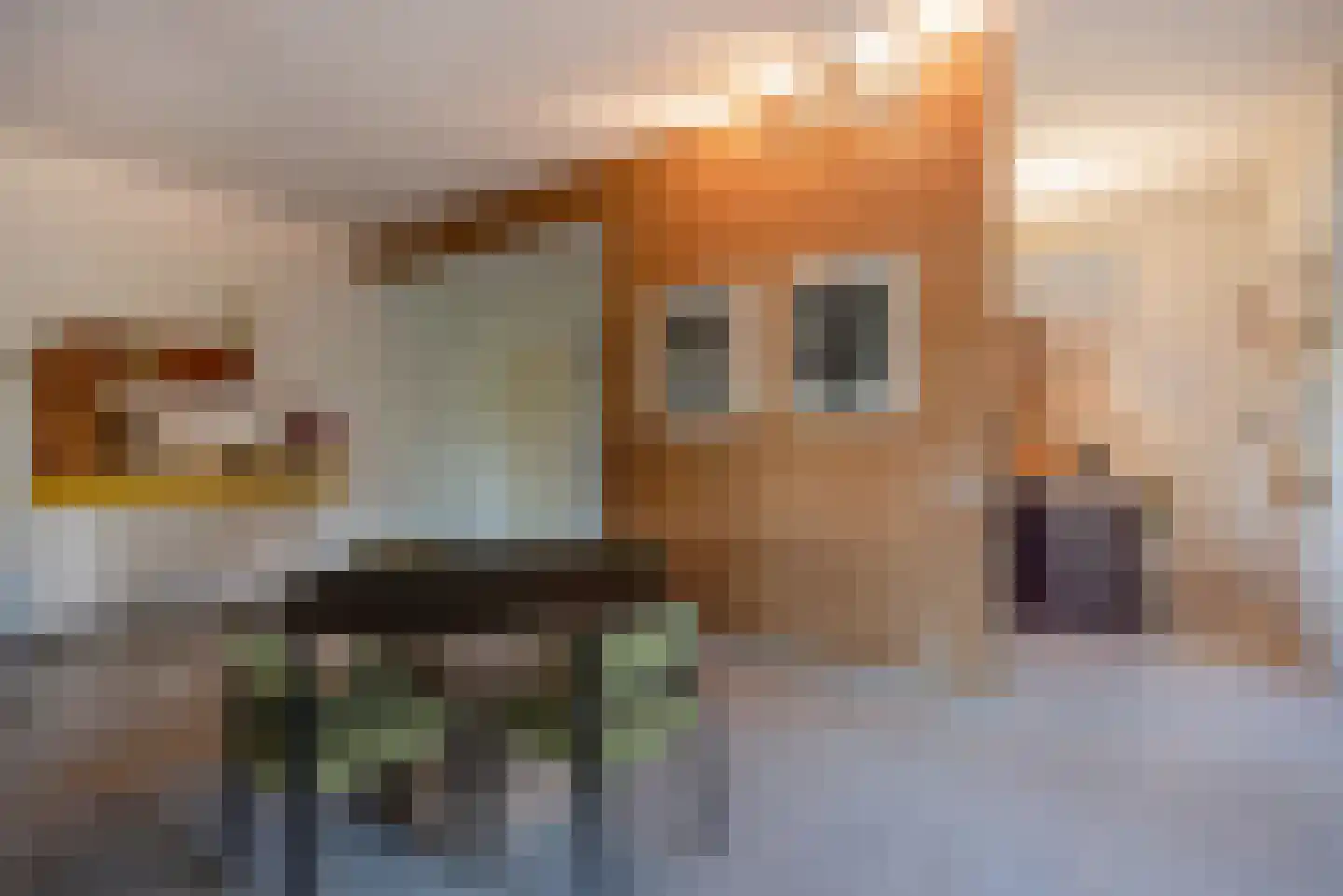Sir Winston Churchilllaan 289 F036 Rijswijk thumbnail 17
