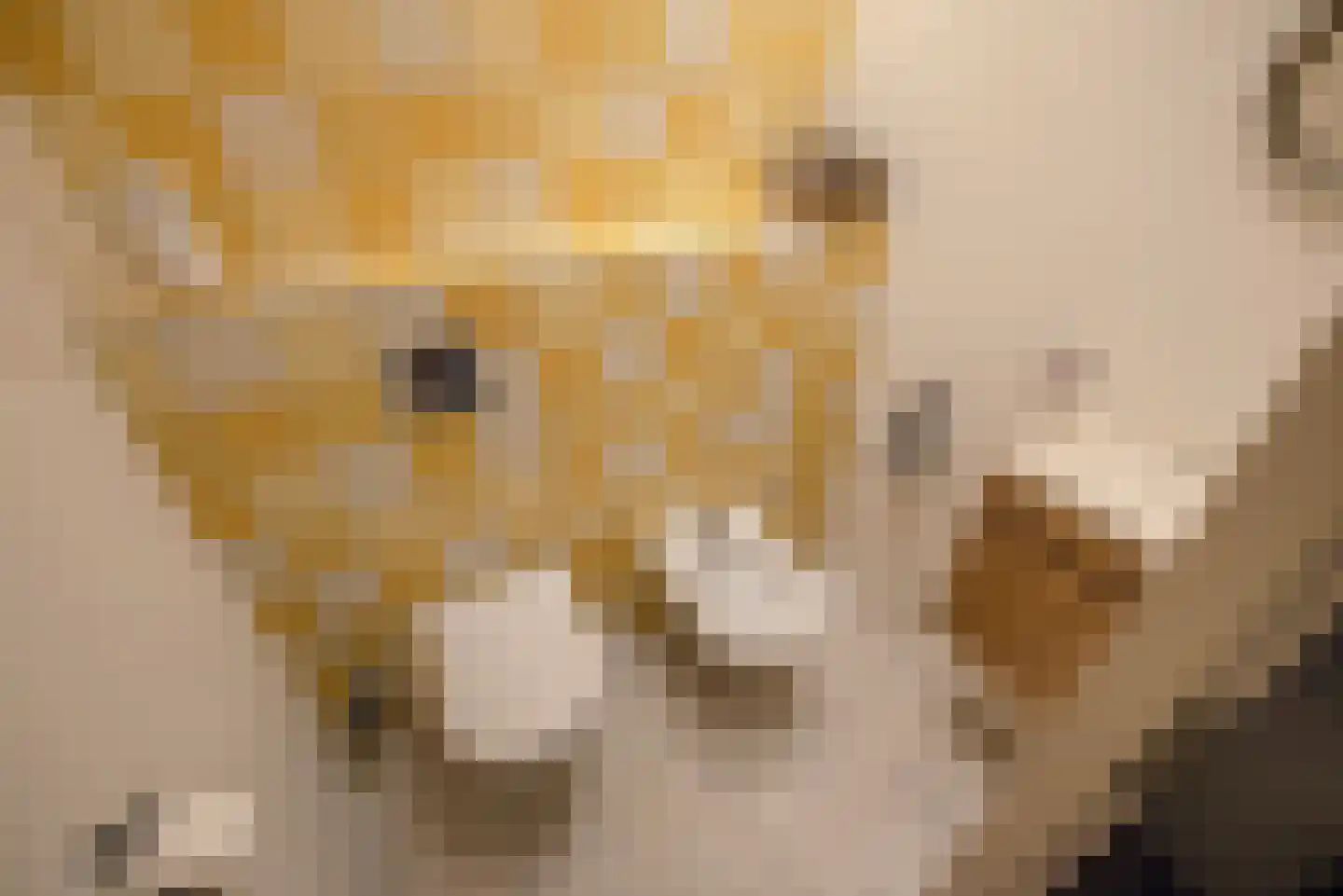 Sir Winston Churchilllaan 289 F036 Rijswijk thumbnail 29