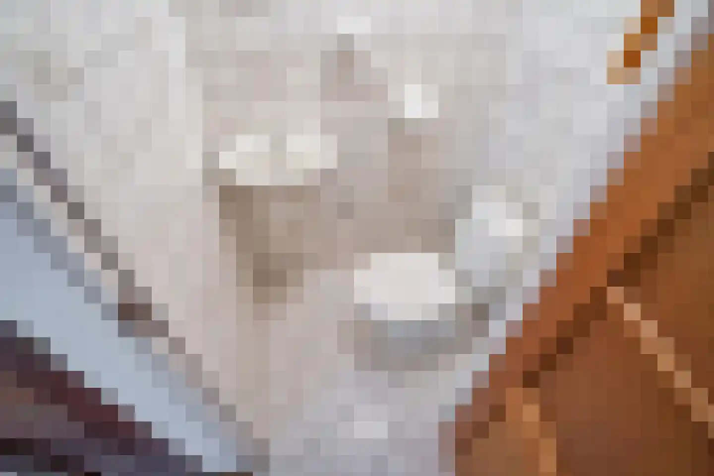 Sir Winston Churchilllaan 321 Rijswijk thumbnail 18