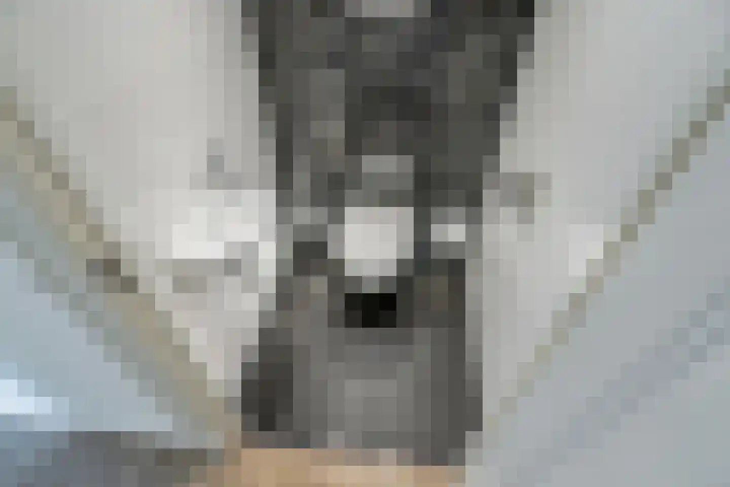 Sir Winston Churchilllaan 370 F020 Rijswijk thumbnail 30