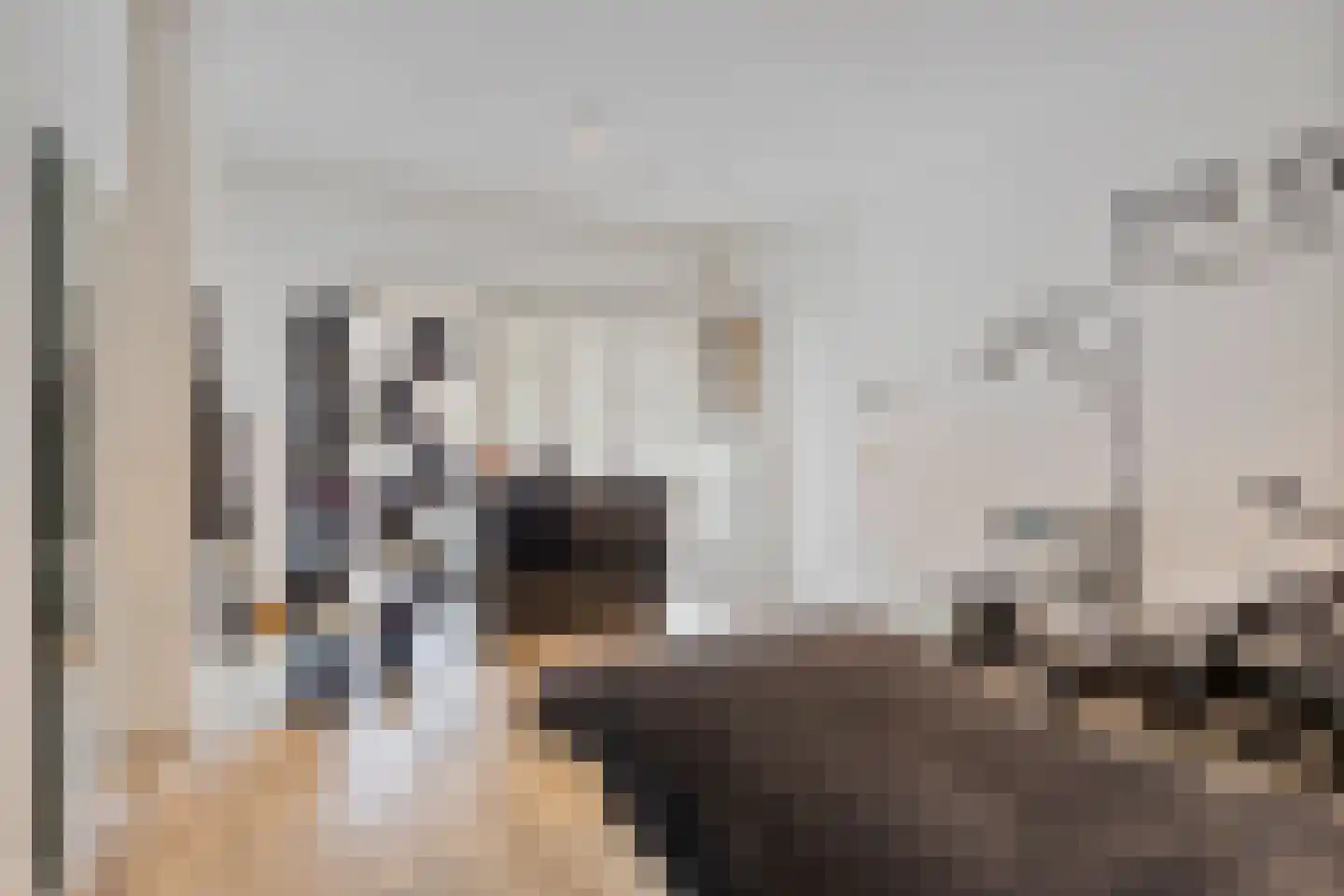 Sir Winston Churchilllaan 370 F101 Rijswijk thumbnail 42