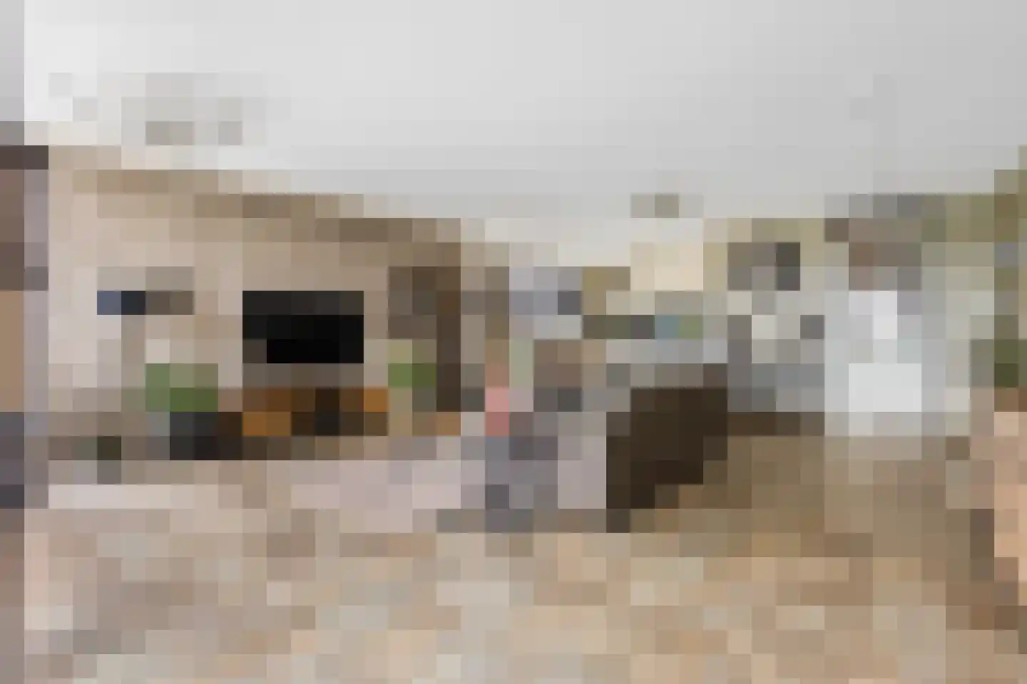 Sir Winston Churchilllaan 370 F217 Rijswijk thumbnail 9