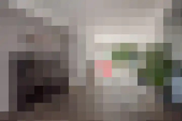 Sir Winston Churchilllaan 406 Rijswijk thumbnail 12