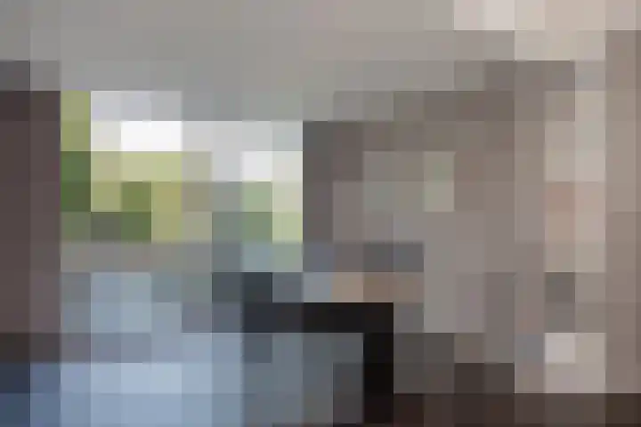 Sir Winston Churchilllaan 406 Rijswijk thumbnail 14