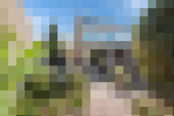 Sir Winston Churchilllaan 406 Rijswijk thumbnail 4