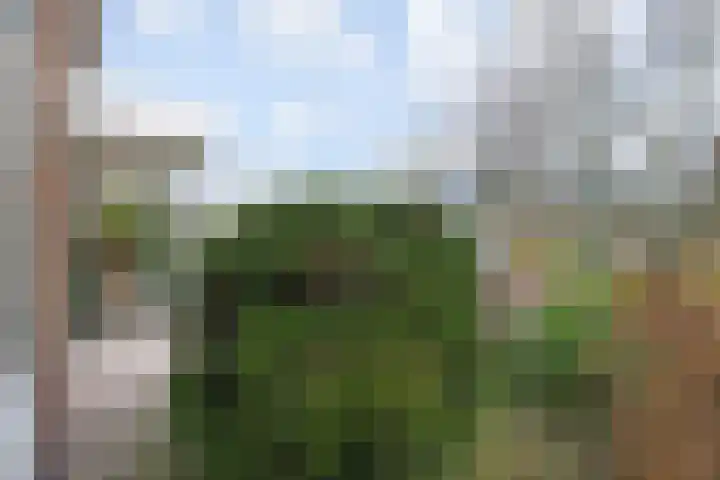 Sir Winston Churchilllaan 424 Rijswijk thumbnail 5