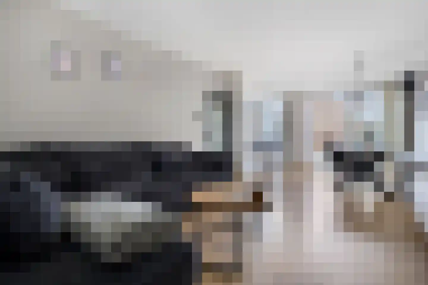 Sir Winston Churchilllaan 446 Rijswijk thumbnail 11