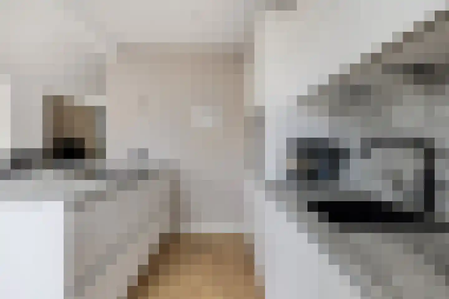 Sir Winston Churchilllaan 446 Rijswijk thumbnail 4
