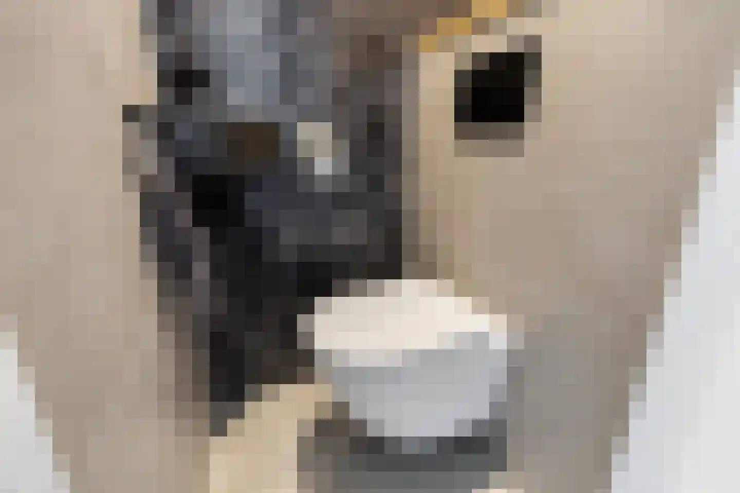 Sir Winston Churchilllaan 446 Rijswijk thumbnail 9