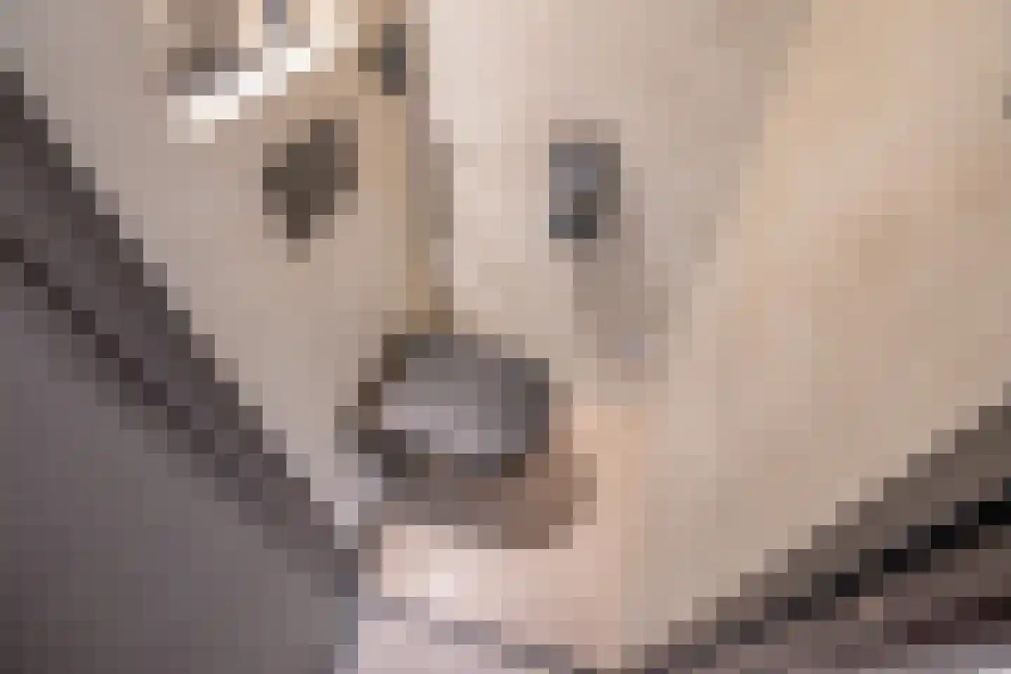 Sir Winston Churchilllaan 448 Rijswijk thumbnail 6