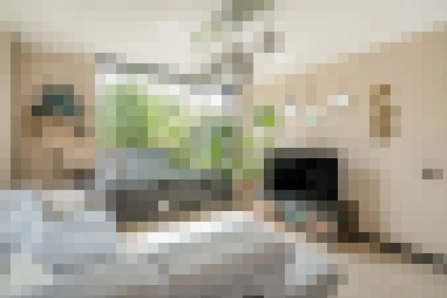 Sir Winston Churchilllaan 448 Rijswijk thumbnail 9
