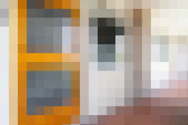 Sir Winston Churchilllaan 58 Rijswijk thumbnail 5