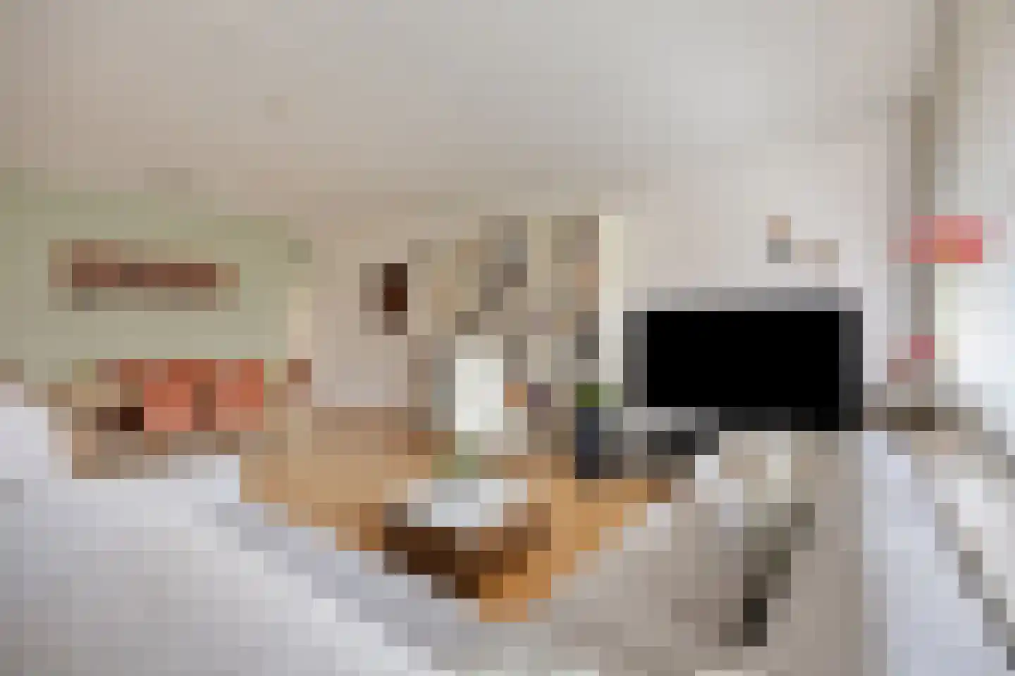 Sir Winston Churchilllaan 823 Rijswijk thumbnail 16