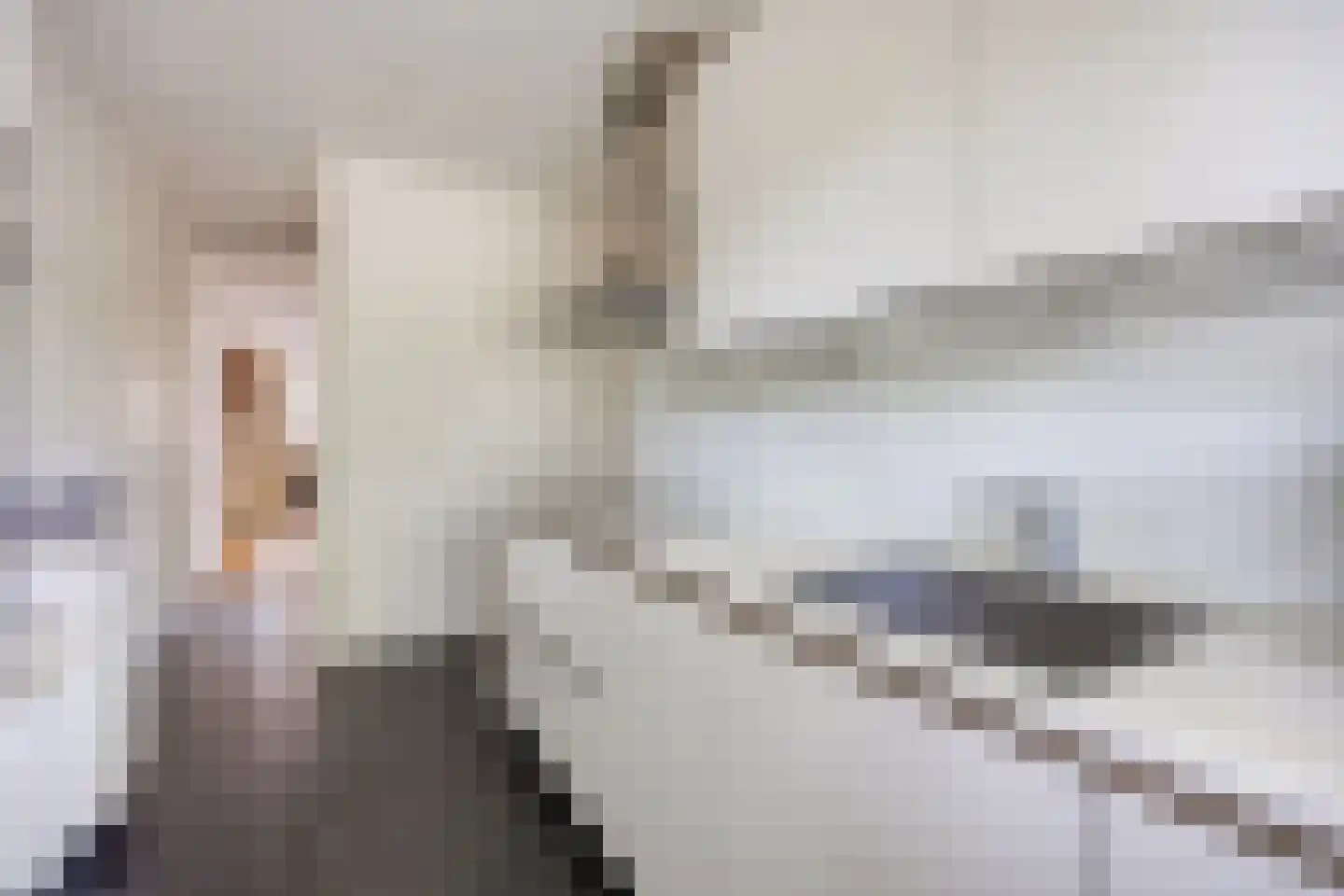 Sir Winston Churchilllaan 823 Rijswijk thumbnail 23