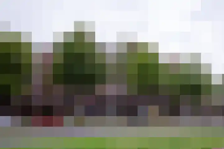 Sir Winston Churchilllaan 827 Rijswijk thumbnail 28