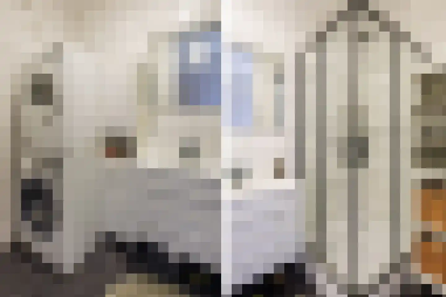 Sir Winston Churchilllaan 829 Rijswijk thumbnail 21