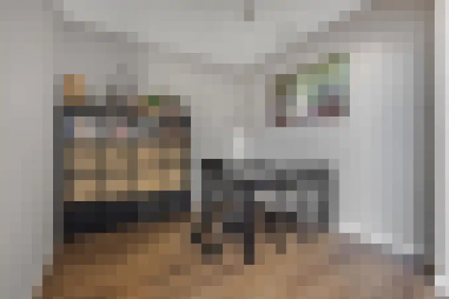 Sir Winston Churchilllaan 835 Rijswijk thumbnail 7
