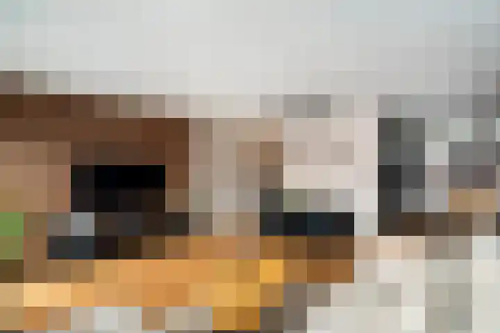 Sir Winston Churchilllaan 839 Rijswijk thumbnail 12